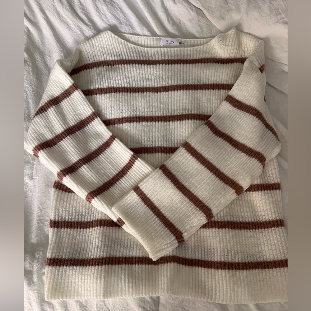 Bluivy White and Brown Striped Sweater
